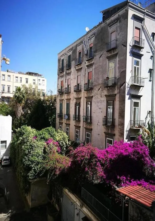 Domus Luigi Leone II Bed & Breakfast Naples 0*,  Italy